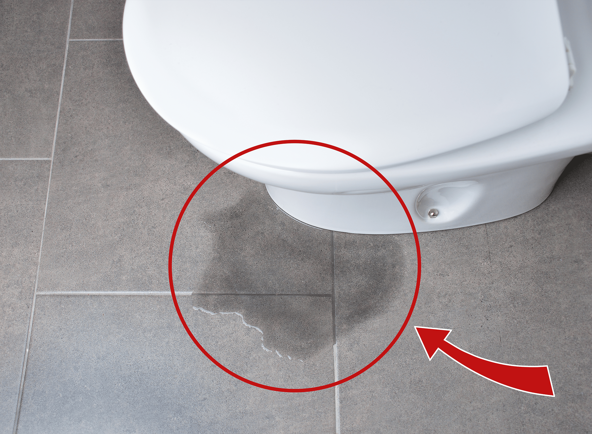How Do You Know When You Need to Replace Your Toilet? Call 4 Seasons