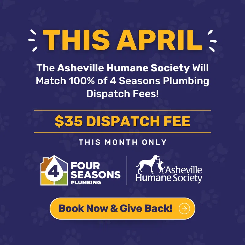 4SP_PopUp_Graphics_APR26_3