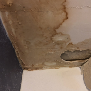 leak found in older homes ceiling