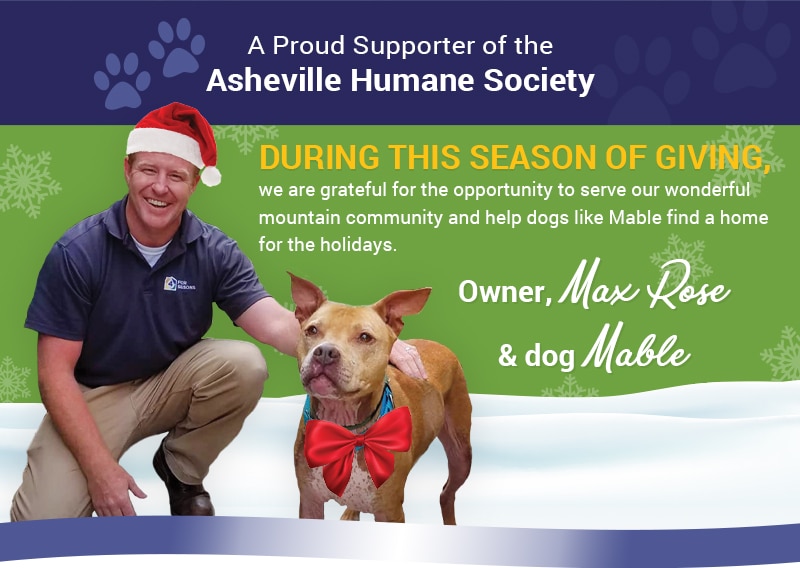 A man kneels beside a brown dog with a red bow. Text supports Asheville Humane Society and promotes holiday dog adoption.