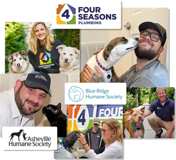 A collage of people interacting with dogs and cats, featuring logos for Four Seasons Plumbing, Asheville Humane Society, and Blue Ridge Humane Society.